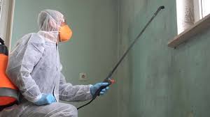 Best Residential Mold Inspection & Testing  in Buies Creek, NC